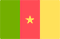 Cameroon Flag